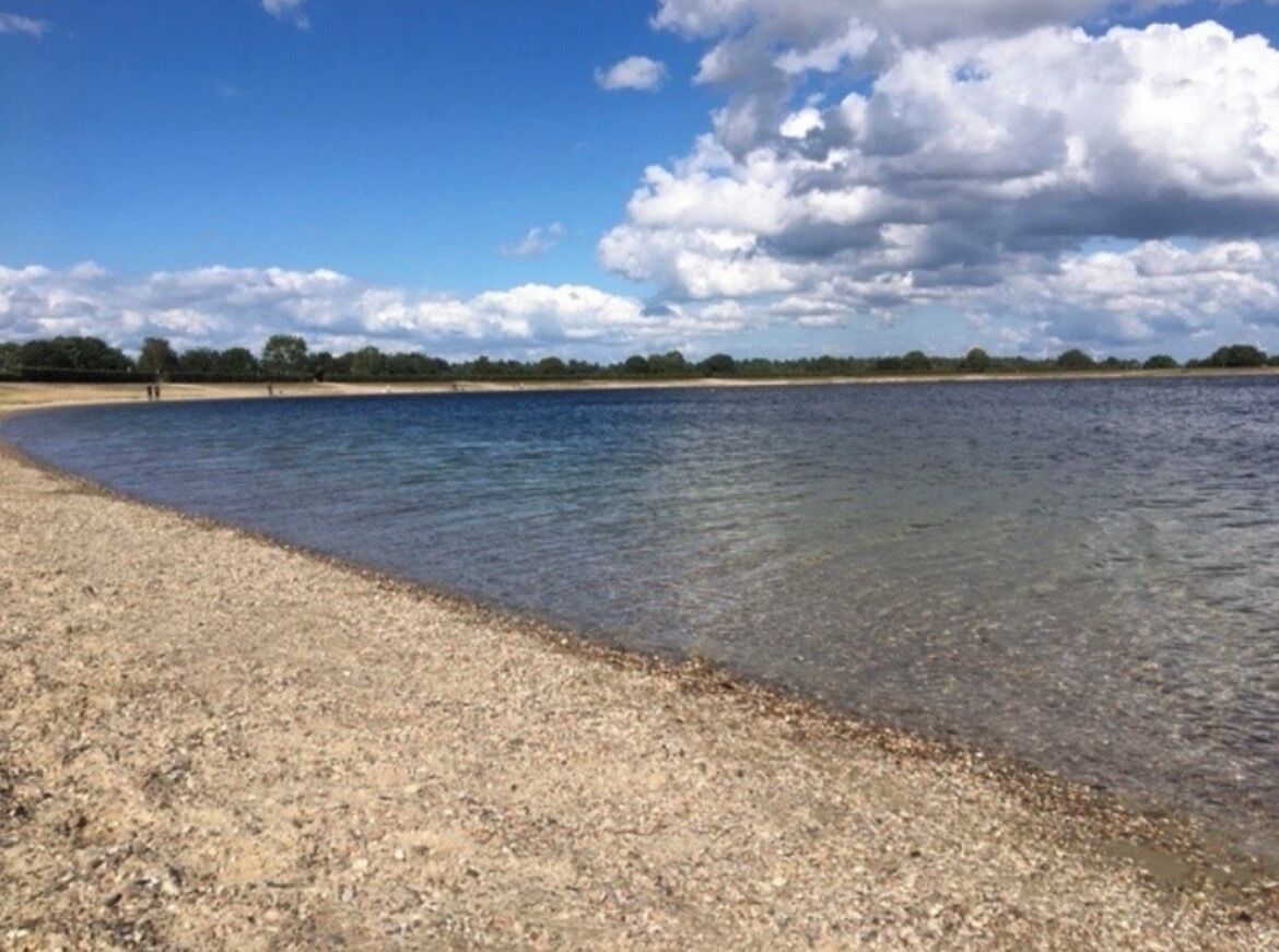 A beach with clear water, pebbles, and a distant tree line.