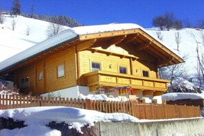 Exterior - Holiday home with 1 bedroom (Zell am Ziller)