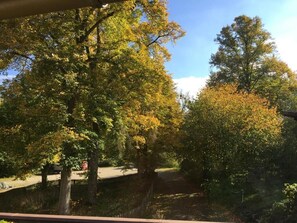 Une vue d’un parc avec des arbres et un sentier.