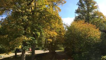 Blick auf einen Park mit Bäumen und einem Weg.