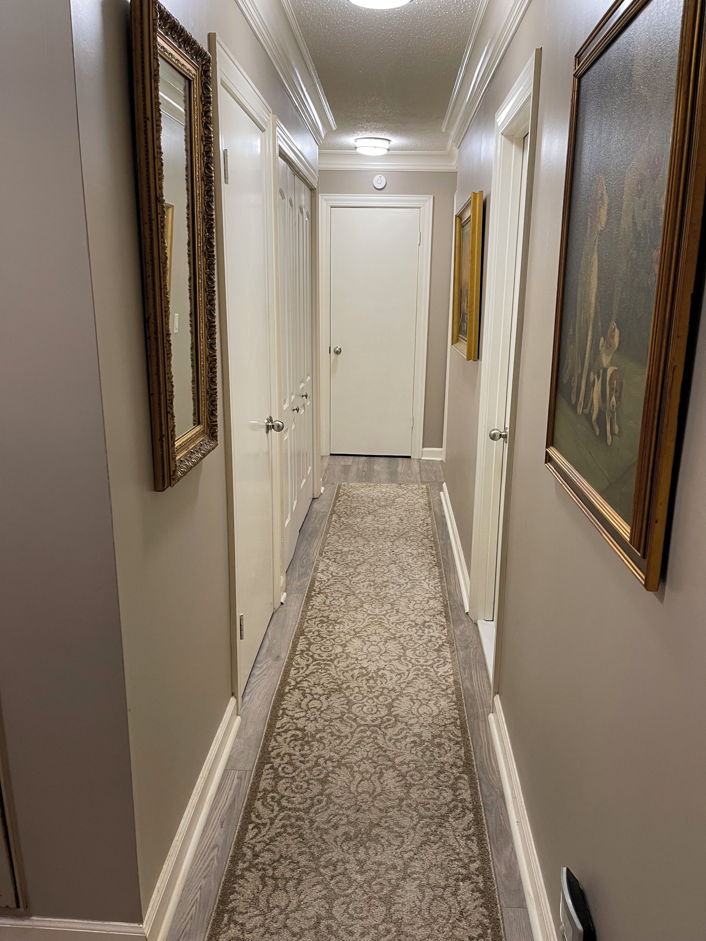 A hallway with a patterned carpet, white doors, and framed artwork on the walls.