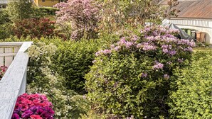Un jardín con diversas plantas florecientes y un banco de madera.