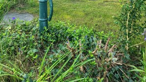 A house with a dark exterior, a bicycle parked outside, and a green fire hydrant in the foreground. - Panoramic view over Storebælt from Drøsselbjerg (Slagelse)