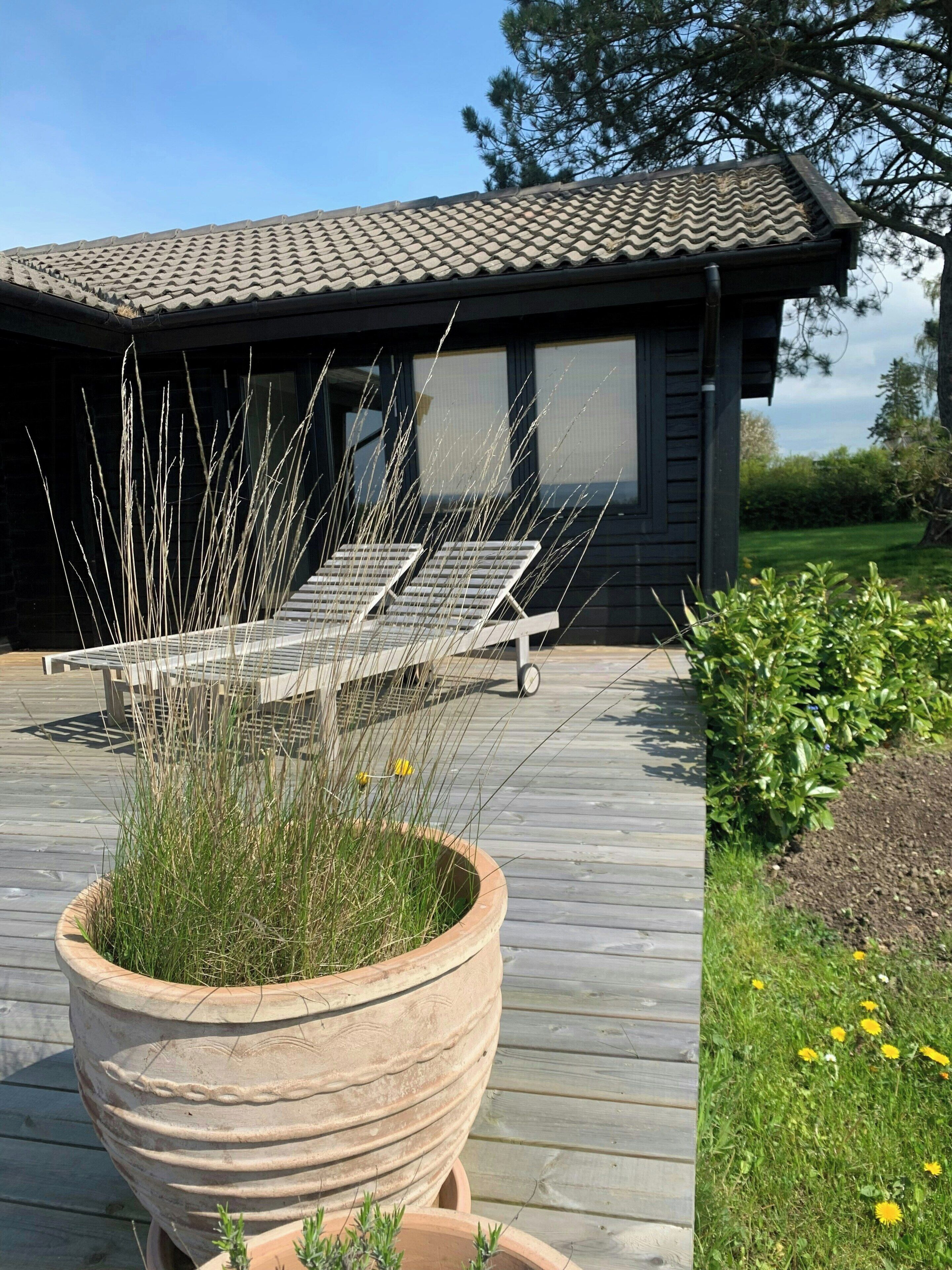 A wooden deck with lounge chairs, a large potted plant, and a building with a tiled roof.
