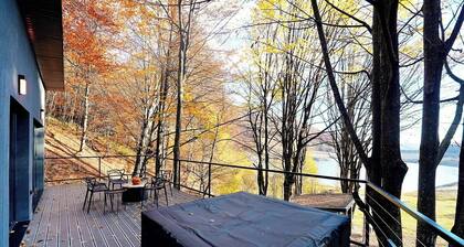 Paltinu Lake Villas