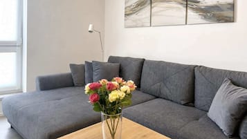 Fernseher