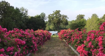 La Forge - Gîte de charme au cœur des Châteaux de la Loire - Nature & calme