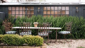 Un espacio al aire libre con una mesa y sillas, una planta en maceta y un fondo de arbustos verdes altos.
