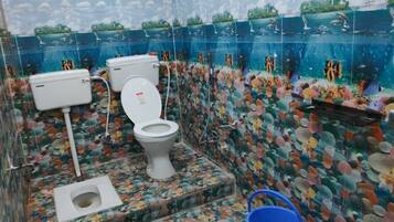 Douche, serviettes fournies, shampoing, papier toilette