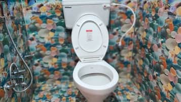 Douche, serviettes fournies, shampoing, papier toilette