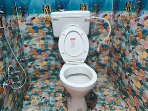 Ducha, toallas, shampoo, papel higiénico