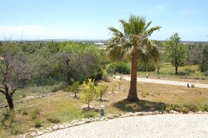 A landscaped area with a paved walkway, palm tree, and various shrubs. - Charming Villa With 3 Bedrooms and sea View (Faro)