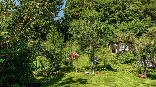 A lush garden with a variety of trees and shrubs, a small wooden house, and a solar panel.