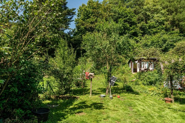 A lush garden with a variety of trees and shrubs, a small wooden house, and a solar panel.