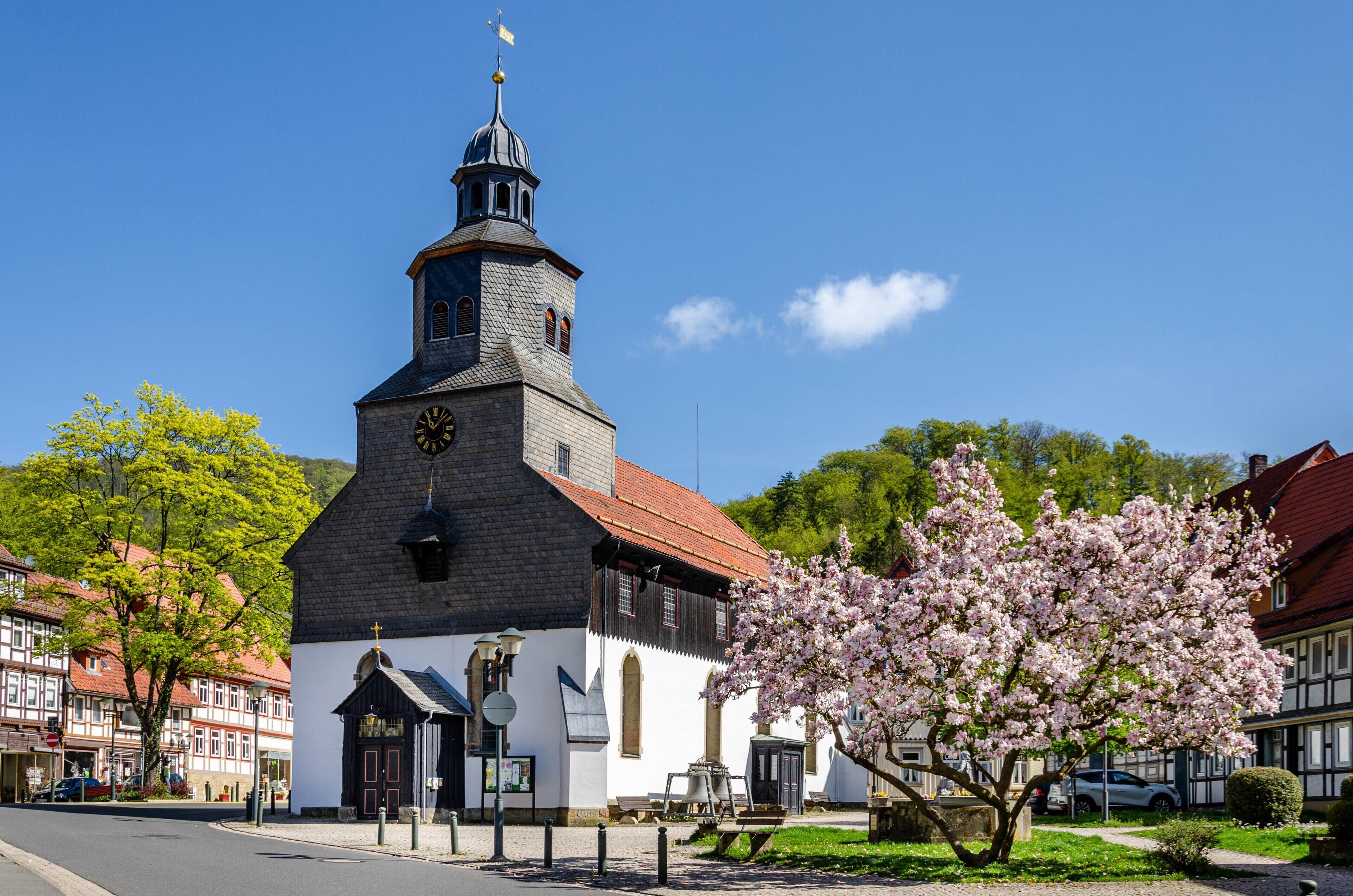 A church with a clock tower, surrounded by traditional buildings and blooming trees.