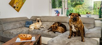 Holiday Home 'Haus Herr Und Hund' with Mountain View, Private Terrace & Wi-Fi
