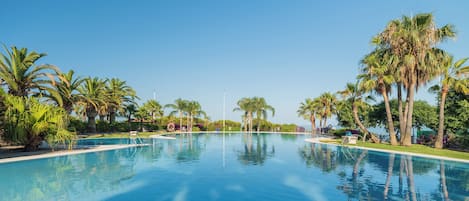Una piscina amplia y transparente rodeada de palmeras y follaje.