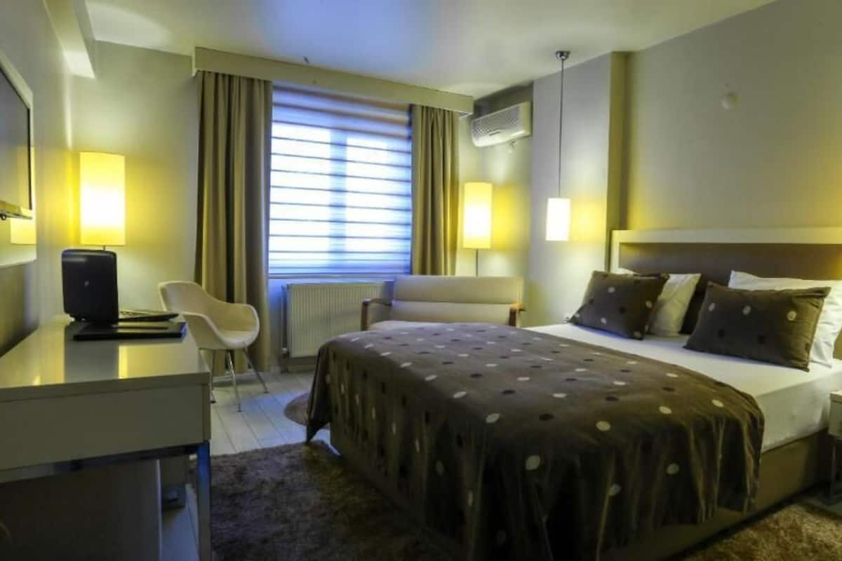 Habitación doble clásica, se aceptan mascotas, vista a la ciudad | Escritorio y wifi gratis