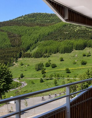 Property grounds - Apartment for 8 people - 2 garages - Exceptional view (Huez)