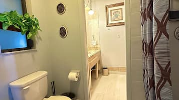 Ein Badezimmer mit Toilette, Waschbecken und Duschvorhang.