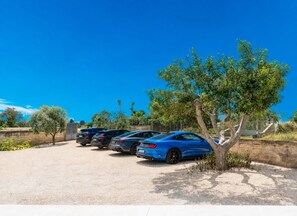 A parking area with multiple cars, a clear blue sky, and a tree.