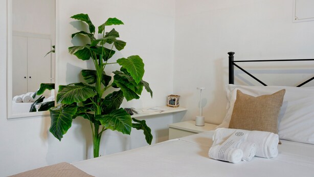 Une chambre d’hôtel comprenant un lit, une table de chevet, une commode, une grande plante en pot, un miroir et un tableau accroché au mur.