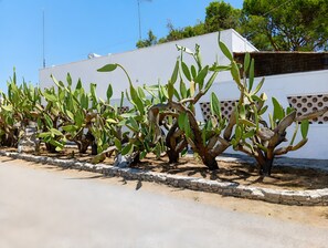 Jardines del alojamiento
