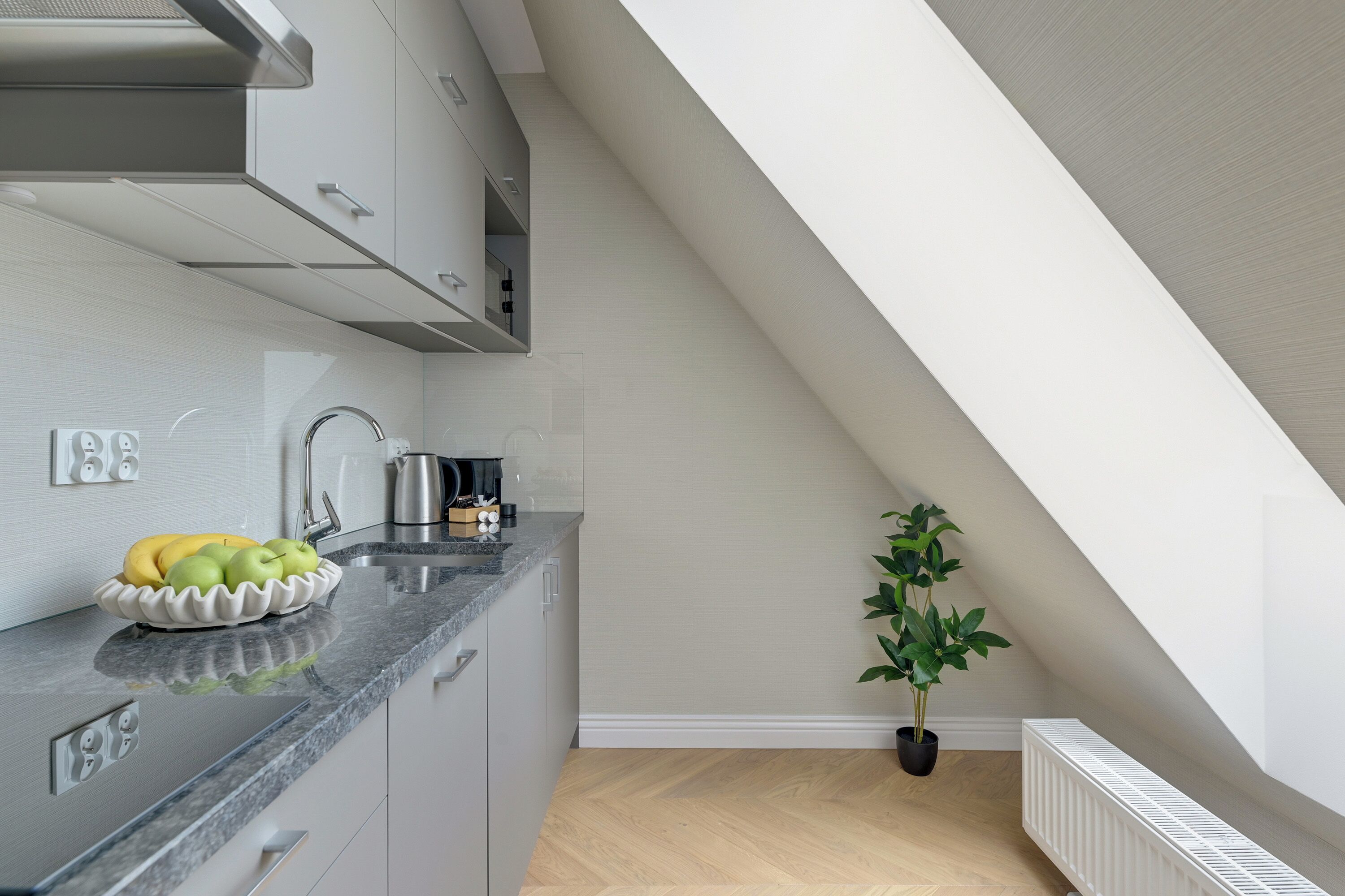 A modern kitchen with a granite countertop, a fruit bowl, and a potted plant.