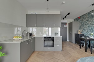 Classic Studio Suite | Dapur peribadi | Peti sejuk, dapur, mesin basuh pinggan mangkuk