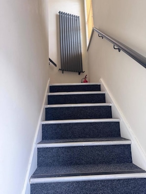 A staircase with dark carpeted steps and a handrail on the right.