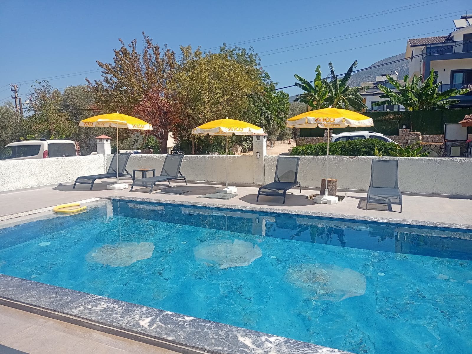 A swimming pool with lounge chairs and umbrellas, surrounded by a low wall and vegetation.