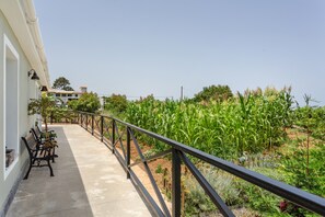 A balcony with a metal railing overlooking a cornfield. -  'El Llano' with Sea View, Private Pool and Wi-Fi (La Orotava)