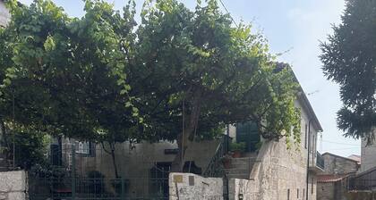Casa João Fidalgo
