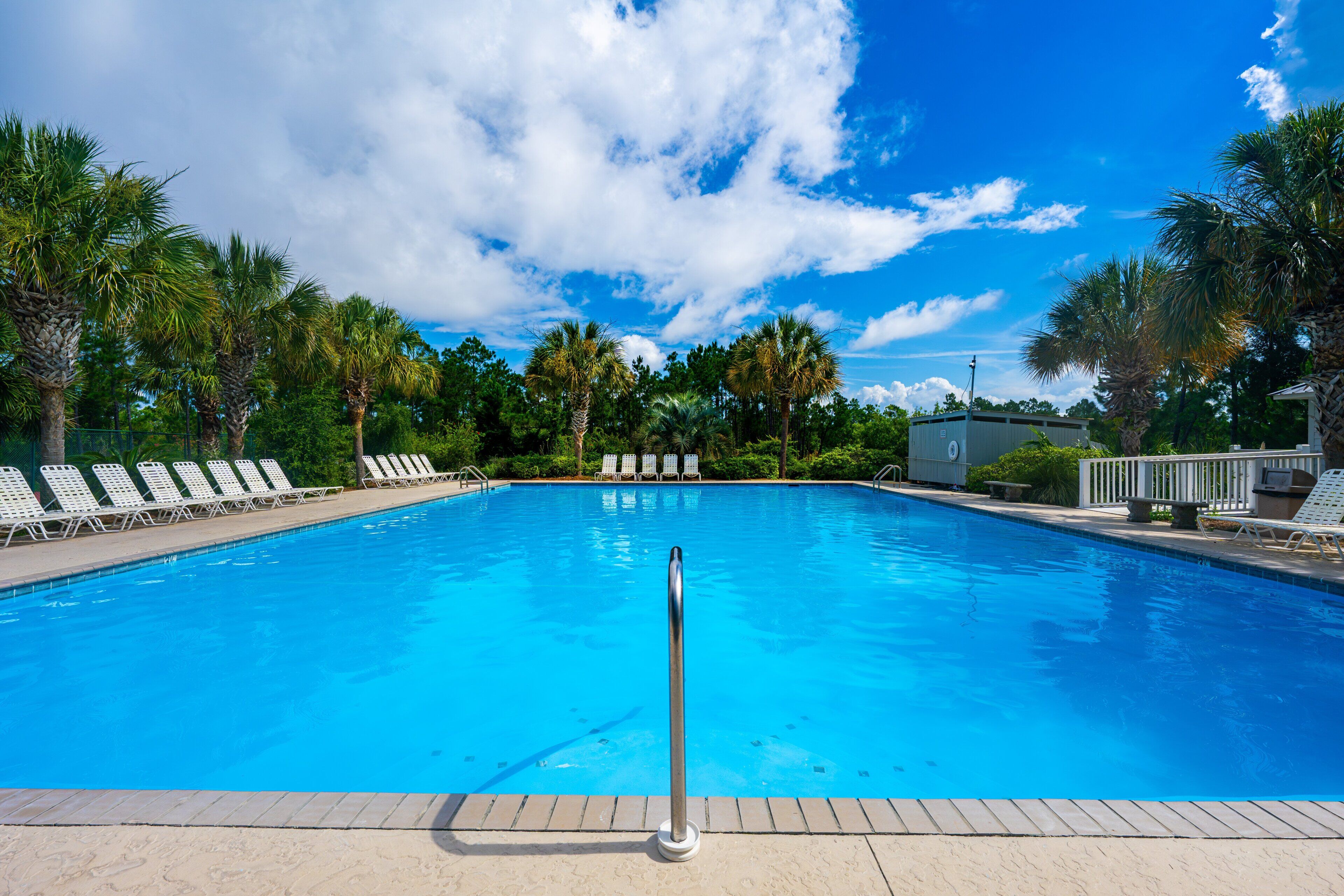 A clear blue pool with white lounge chairs and palm trees in the background.