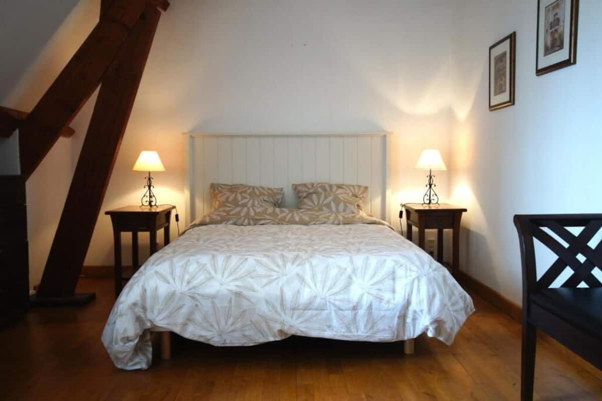 Habitación doble clásica, vista al jardín | Wifi gratis 