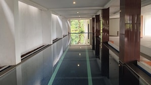 Um corredor com piso espelhado, vista para o verde pela janela e estrutura de madeira à direita.