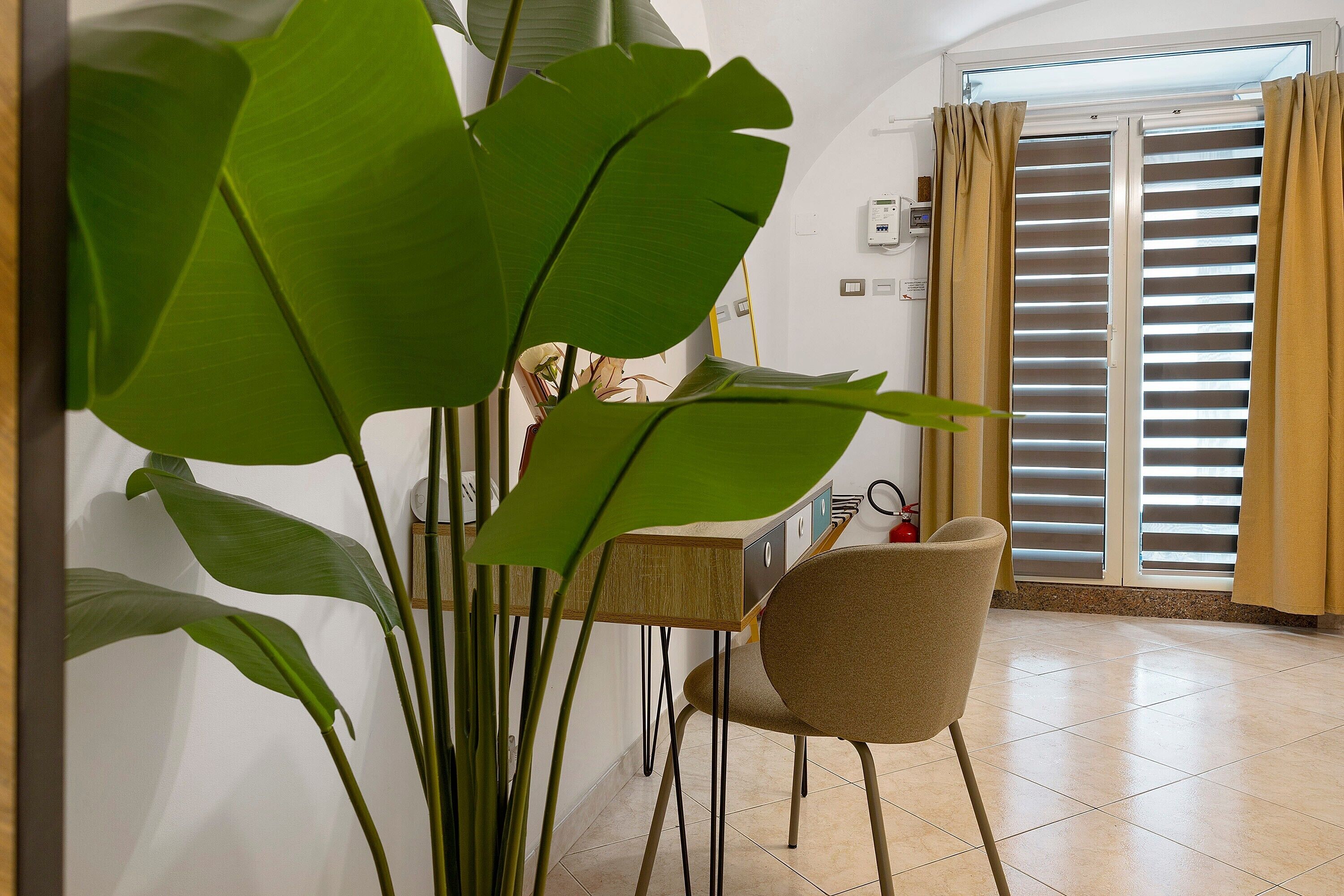 A room with a large green plant, a small table, a chair, and a sliding glass door with curtains.