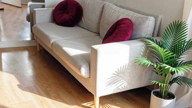 A living room with a sofa, a potted plant, and artwork on the wall.