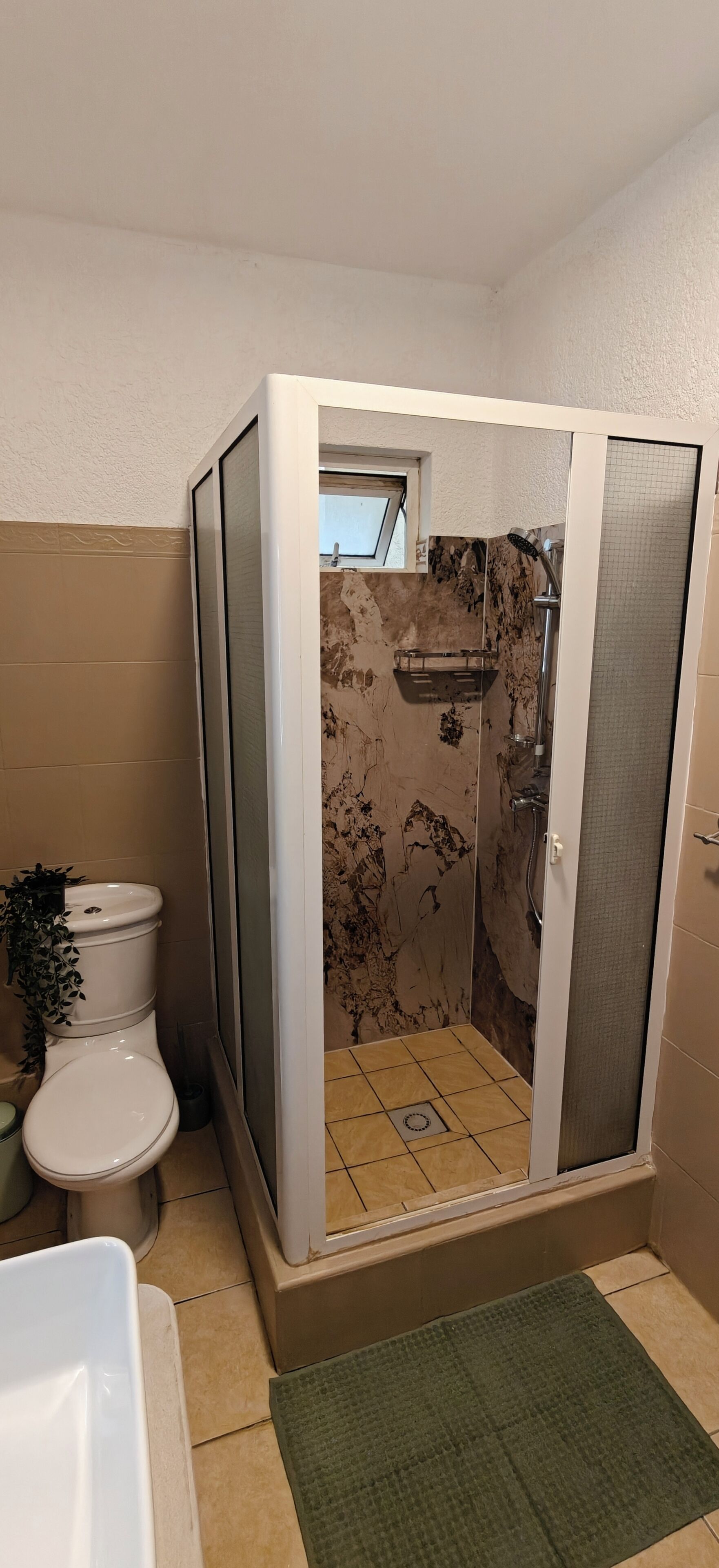 Ein Badezimmer mit Duschkabine, Toilette und Fenster.