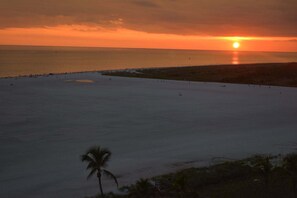 A beach with a sunset, palm trees, and a pier. - Oceanside Marco Island Retreat: Expansive Views of Sunset, Pool & Beach (Marco Island)