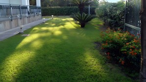 A well-maintained garden with a lawn, a palm tree, and a fence. - Apartment 'Comics' with sea view, Wi-Fi and air conditioning (Villammare)