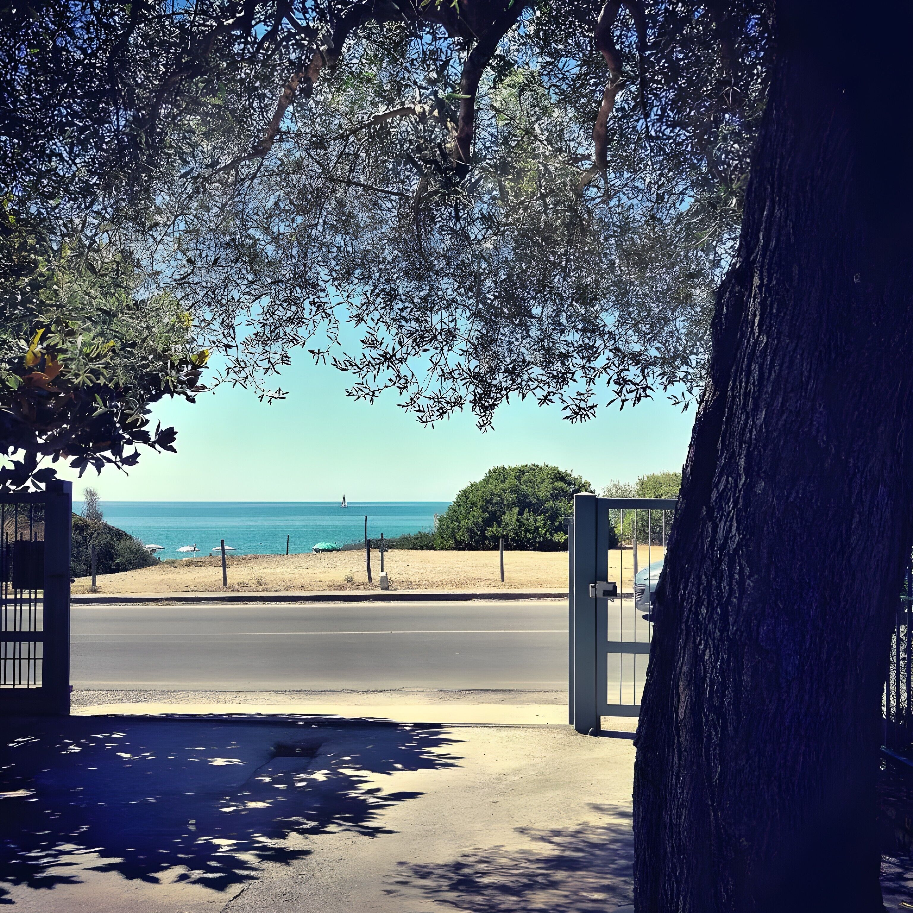 Vista da propriedade