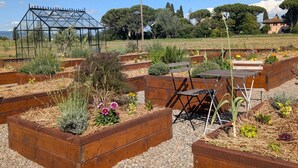 A garden with raised beds, a greenhouse, and a bench. - Pool View Suite 205, 50 m² with Bathtub, Breakfast Included (Fucecchio)