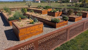 Ein Garten mit erhöhten Holz-Pflanzkästen, die verschiedene Pflanzen und Blumen beherbergen.