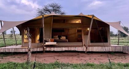Authentic Safari Tent with Unforgettable Wildlife Experiences Near the Great Migration in Central Serengeti, Tanzania