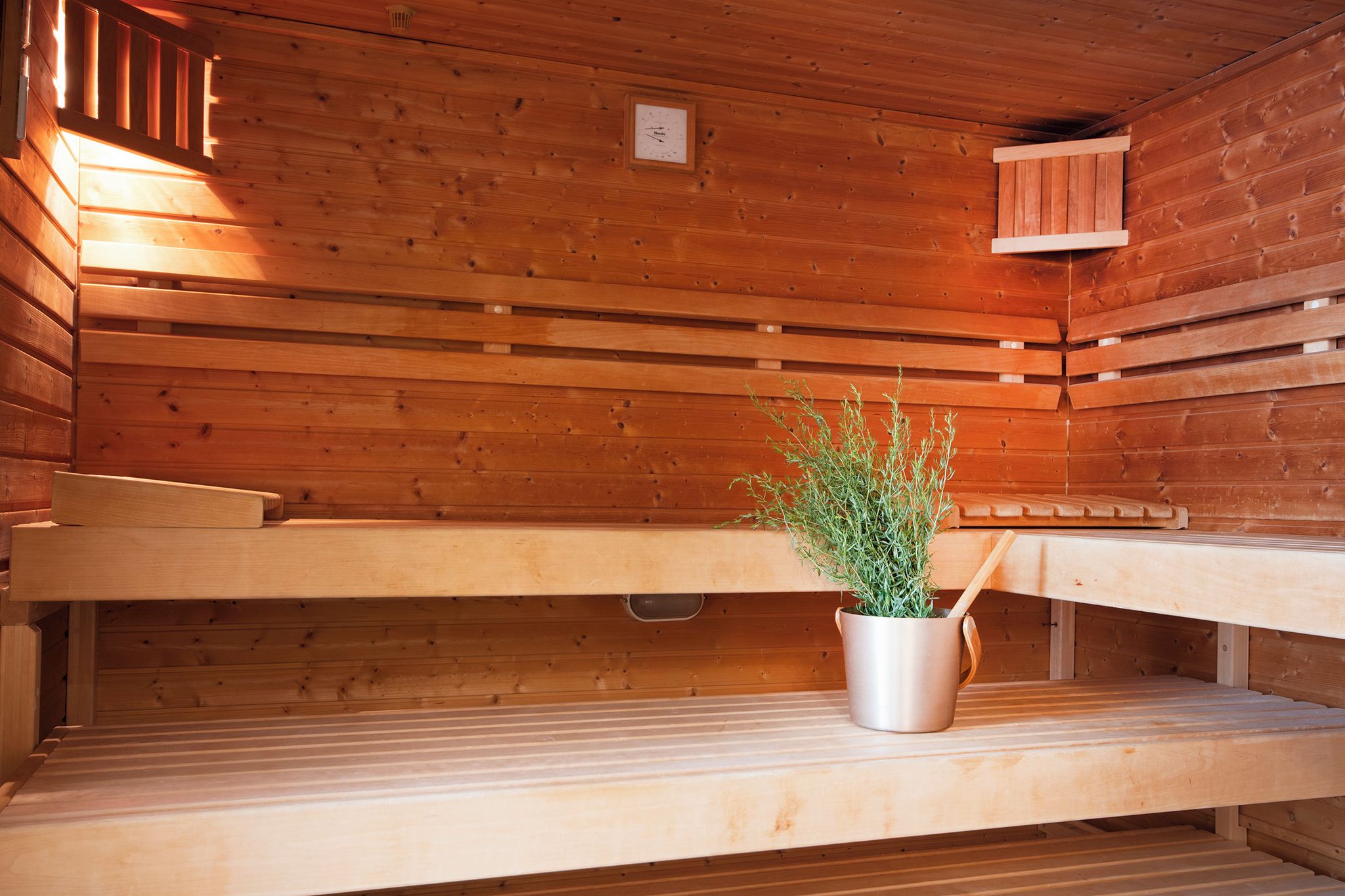 Un sauna avec des bancs en bois et une plante en pot.