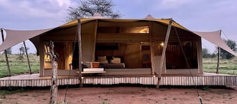 Luxury Safari Tent Near the Great Migration in Central Serengeti, Tanzania