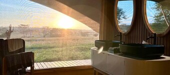 Premium Safari Tent Experience in the Serengeti National Park, Tanzania