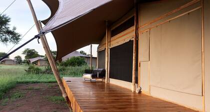 Exclusive Serengeti Glamping Retreat Near the Great Migration, Tanzania