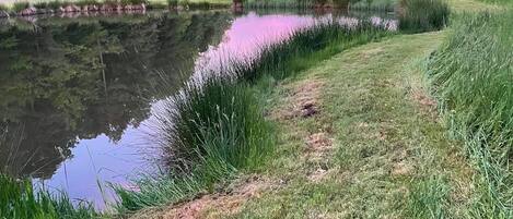 Una vista tranquila de un lago con una casa al fondo.